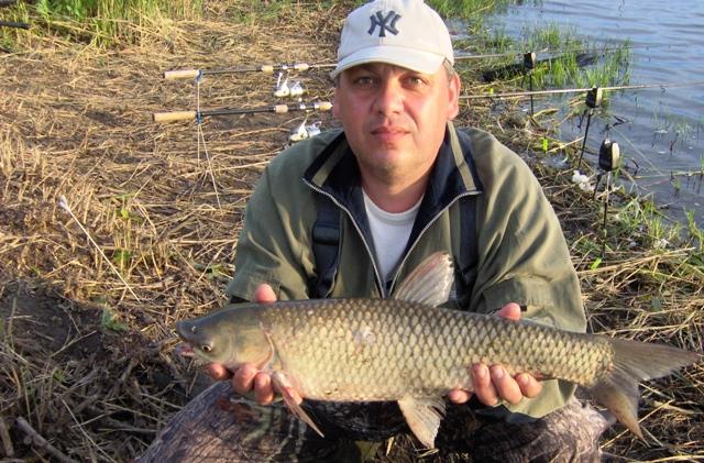 De pe ... balti ... 1 - im000456.JPG